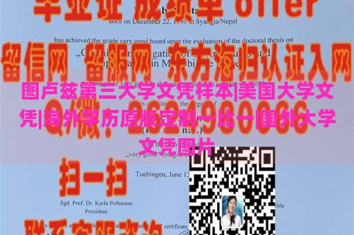 图卢兹第三大学文凭样本|美国大学文凭|海外学历原版定制一比一|国外大学文凭图片