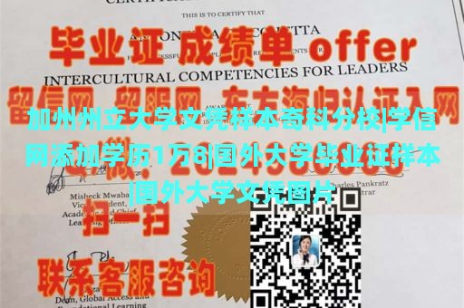 加州州立大学文凭样本奇科分校|学信网添加学历1万8|国外大学毕业证样本|国外大学文凭图片