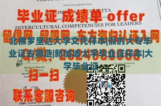 北佛罗里达大学文凭样本|假的大专毕业证去哪造|新加坡大学毕业证样本|大学毕业证