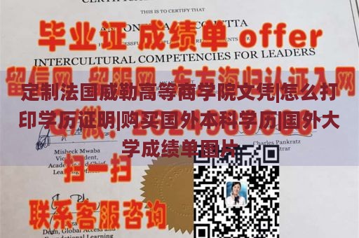 定制法国威勒高等商学院文凭|怎么打印学历证明|购买国外本科学历|国外大学成绩单图片