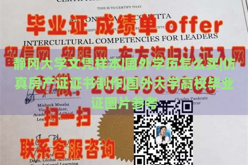 静冈大学文凭样本|国外学历怎么买|仿真房产证证书制作|国外大学高校毕业证图片参考