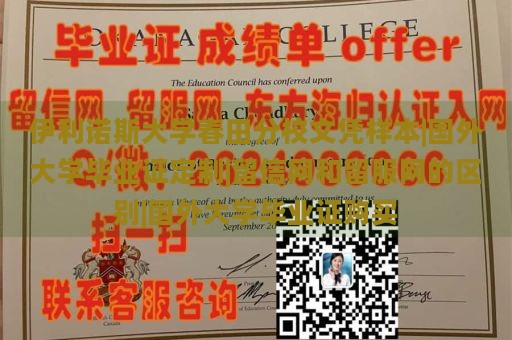 伊利诺斯大学春田分校文凭样本|国外大学毕业证定制|留信网和留服网的区别|国外大学毕业证购买