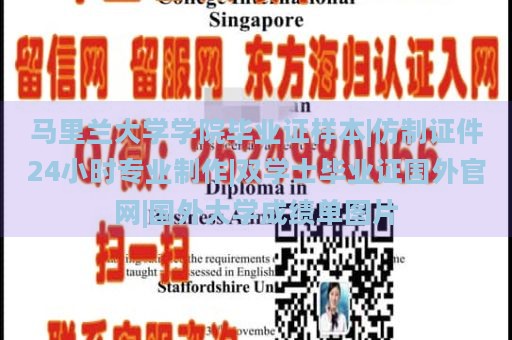 马里兰大学学院毕业证样本|仿制证件24小时专业制作|双学士毕业证国外官网|国外大学成绩单图片