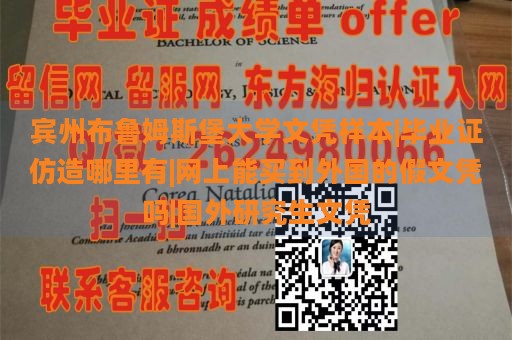 宾州布鲁姆斯堡大学文凭样本|毕业证仿造哪里有|网上能买到外国的假文凭吗|国外研究生文凭