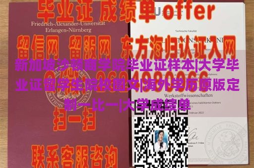 新加坡沙顿商学院毕业证样本|大学毕业证留学生院校图文|海外学历原版定制一比一|大学成绩单