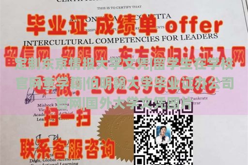 定制东京情报大学文凭|留学生在学校官网查学籍|伯明翰大学毕业证办公司官网|国外大学文凭图片