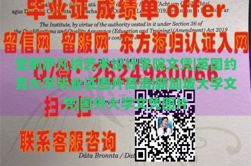 定制萨凡纳艺术设计学院文凭|英国约克大学毕业证图片高清|新加坡大学文凭|国外大学文凭图片