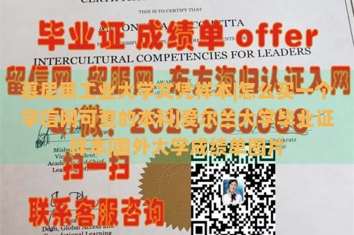 慕尼黑工业大学文凭样本|怎么买一个学信网可查的本科|爱尔兰大学毕业证样本|国外大学成绩单图片