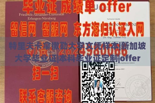 特里夫卡拿撒勒大学文凭样本|新加坡大学毕业证|本科毕业证定制|offer