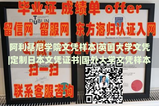 阿利基尼学院文凭样本|英国大学文凭|定制日本文凭证书|国外大学文凭样本