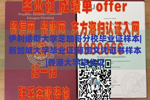 伊利诺斯大学芝加哥分校毕业证样本|新加坡大学毕业证|德国文凭证书样本|香港大学毕业证