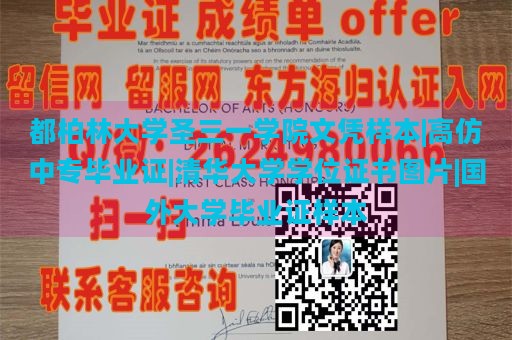 都柏林大学圣三一学院文凭样本|高仿中专毕业证|清华大学学位证书图片|国外大学毕业证样本