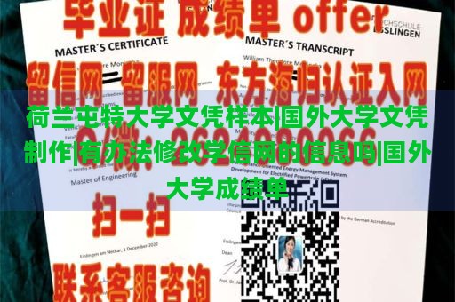 荷兰屯特大学文凭样本|国外大学文凭制作|有办法修改学信网的信息吗|国外大学成绩单