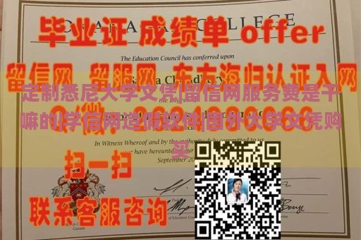 定制悉尼大学文凭|留信网服务费是干嘛的|学信网造假软件|国外大学文凭购买