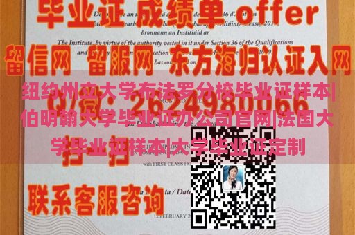 纽约州立大学布法罗分校毕业证样本|伯明翰大学毕业证办公司官网|法国大学毕业证样本|大学毕业证定制