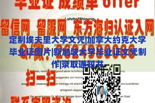 定制埃夫里大学文凭|加拿大约克大学毕业证图片|新加坡大学毕业证文凭制作|录取通知书