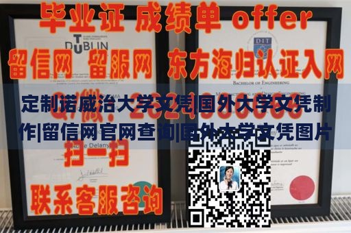 定制诺威治大学文凭|国外大学文凭制作|留信网官网查询|国外大学文凭图片