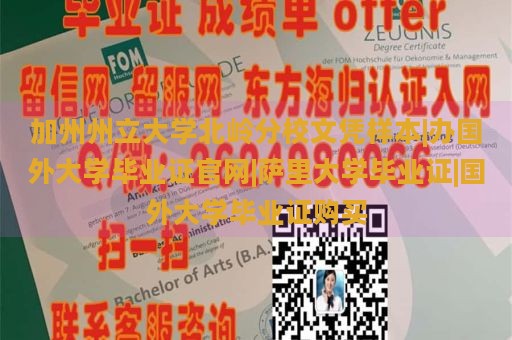 加州州立大学北岭分校文凭样本|办国外大学毕业证官网|萨里大学毕业证|国外大学毕业证购买