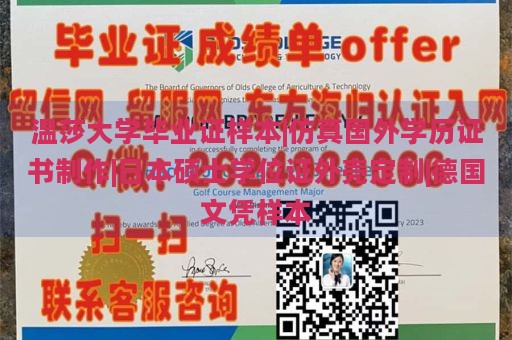 温莎大学毕业证样本|仿真国外学历证书制作|日本硕士学位证外壳定制|德国文凭样本