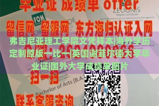 弗吉尼亚理工学院文凭样本|海外学历定制原版一比一|英国谢菲尔德大学毕业证|国外大学成绩单图片