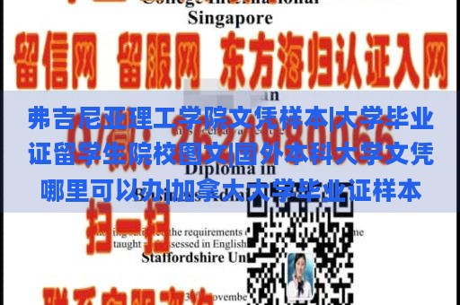 弗吉尼亚理工学院文凭样本|大学毕业证留学生院校图文|国外本科大学文凭哪里可以办|加拿大大学毕业证样本