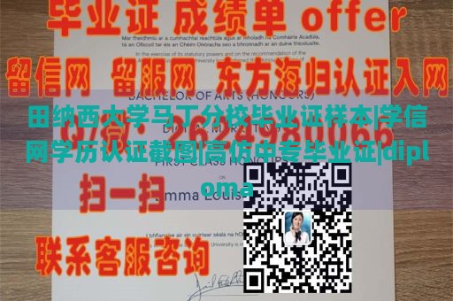 田纳西大学马丁分校毕业证样本|学信网学历认证截图|高仿中专毕业证|diploma