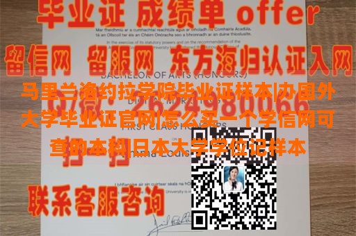 马里兰洛约拉学院毕业证样本|办国外大学毕业证官网|怎么买一个学信网可查的本科|日本大学学位记样本