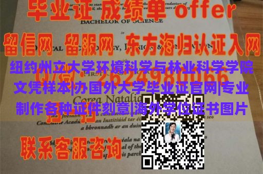 纽约州立大学环境科学与林业科学学院文凭样本|办国外大学毕业证官网|专业制作各种证件刻章|海外学位证书图片