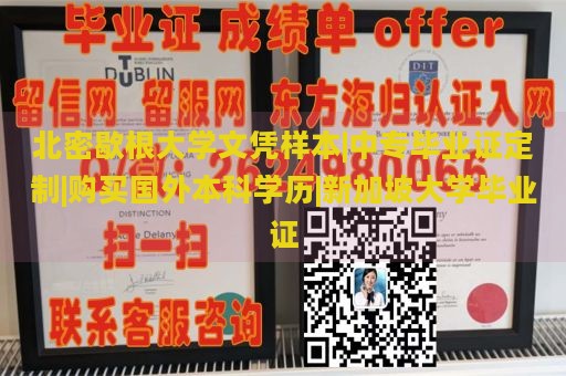 北密歇根大学文凭样本|中专毕业证定制|购买国外本科学历|新加坡大学毕业证