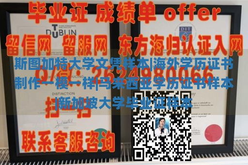 斯图加特大学文凭样本|海外学历证书制作一模一样|马来西亚学历证书样本|新加坡大学毕业证样本