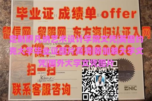 定制萨凡纳艺术设计学院文凭|英国约克大学毕业证图片高清|新加坡大学文凭|国外大学文凭图片