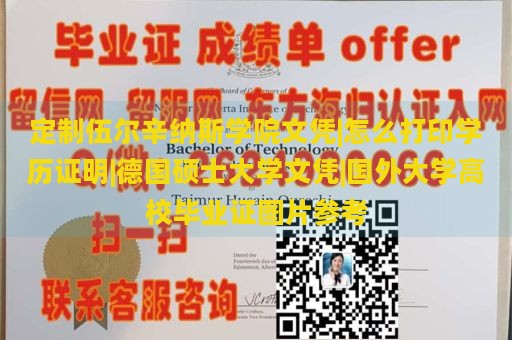 定制伍尔辛纳斯学院文凭|怎么打印学历证明|德国硕士大学文凭|国外大学高校毕业证图片参考