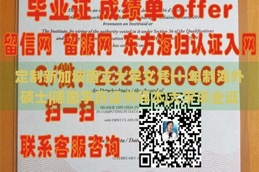 定制新加坡国立大学文凭|一年制海外硕士|德国学历证书样本|大学毕业证