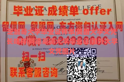 芝加哥大学毕业证样本|美国大学文凭长啥样|阿德莱德大学毕业证|国外大学文凭图片