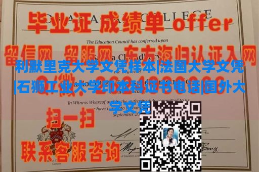 利默里克大学文凭样本|法国大学文凭|石狮工业大学印本科证书电话|国外大学文凭