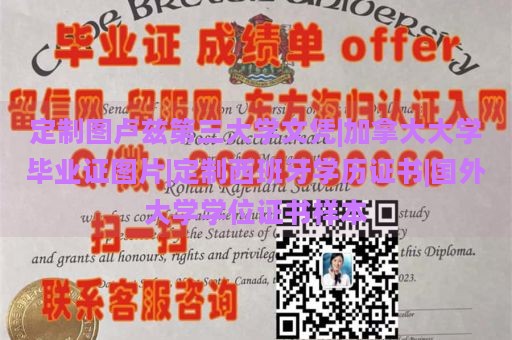 定制图卢兹第三大学文凭|加拿大大学毕业证图片|定制西班牙学历证书|国外大学学位证书样本