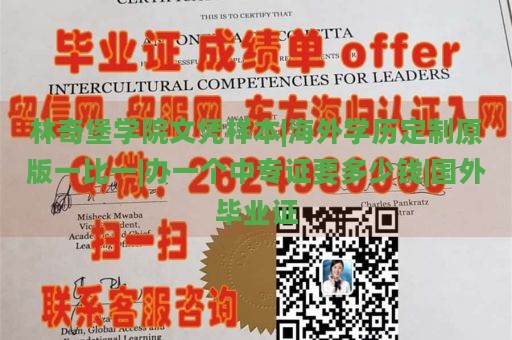 林奇堡学院文凭样本|海外学历定制原版一比一|办一个中专证要多少钱|国外毕业证